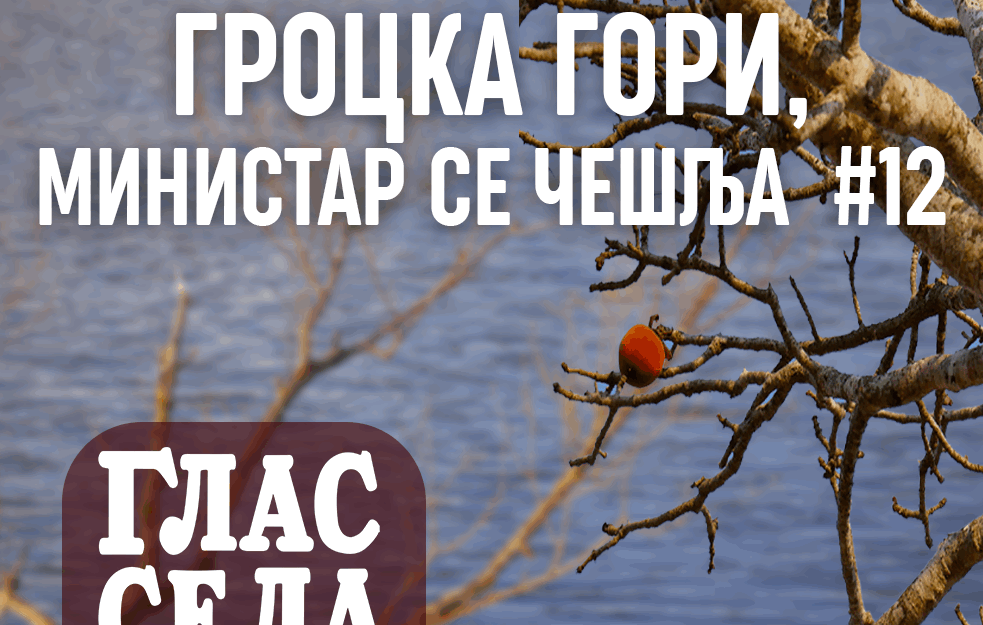 <span style='color:red;'><b>Grocka</b></span> gori, ministar se češlja